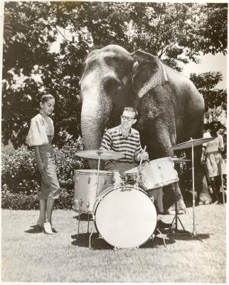Joe Morello on drums with same unidentified woman and "white" elephant and mahout in background (Colombo, Sri Lanka)