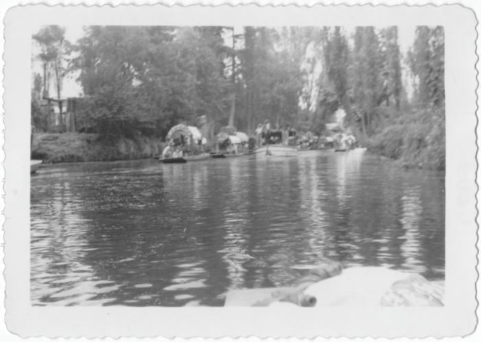 Gardens of Xochimilco (Mexico)