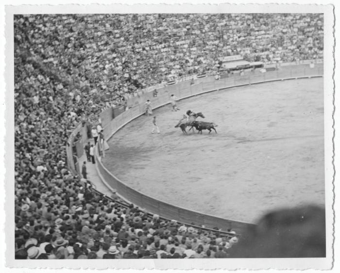 Bullfight (Mexico City, Mexico)