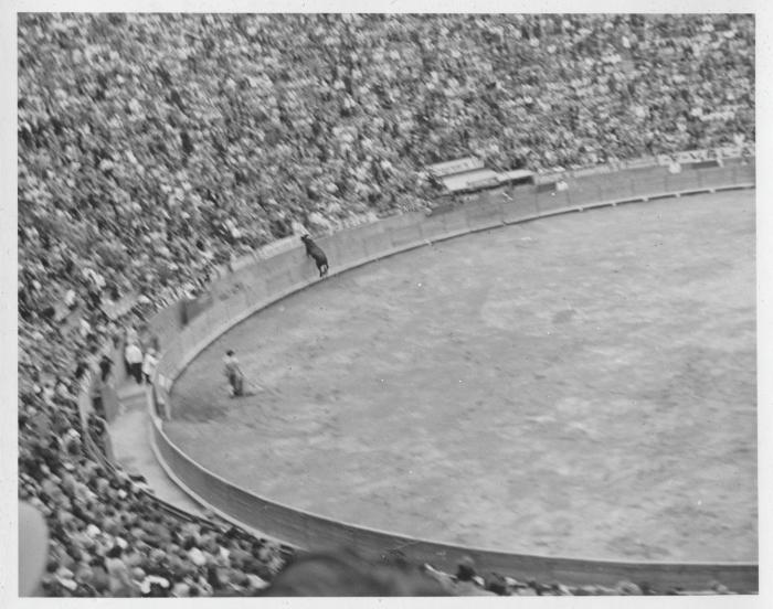 Bullfight (Mexico City, Mexico)