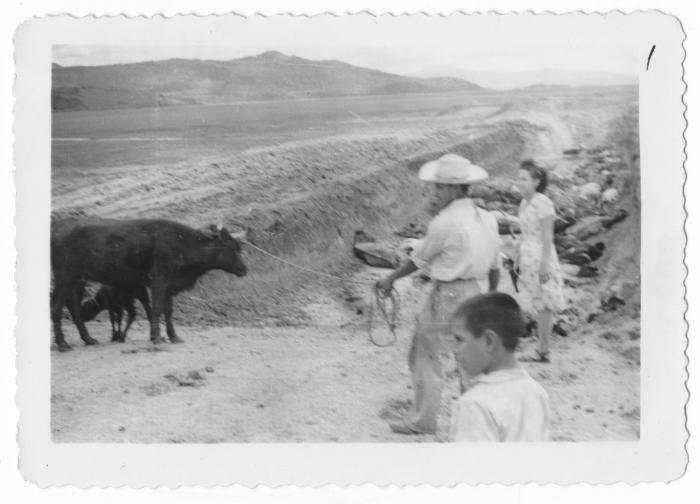 Pit killing [of cattle] (Queretaro, Mexico)