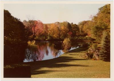 Pond on Dave Brubeck property #2 (Wilton, Connecticut)