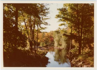Pond on Dave Brubeck property #1 (Wilton, Connecticut)