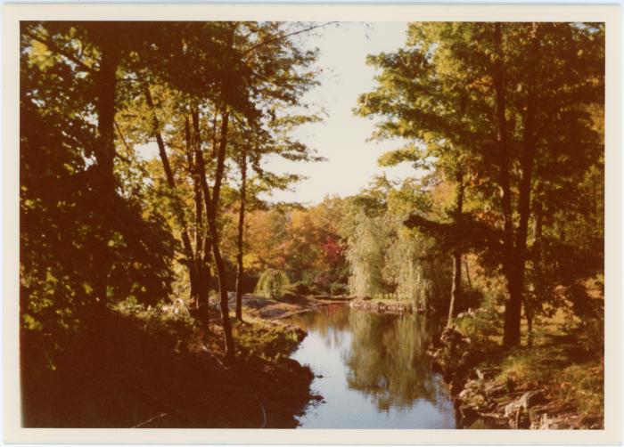 Pond on Dave Brubeck property #1 (Wilton, Connecticut)
